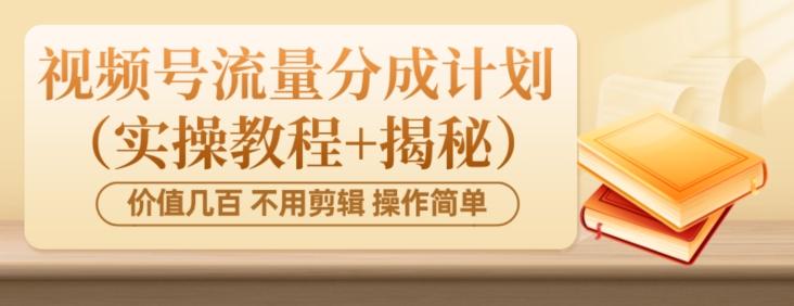 价值几百上千不用剪辑简单操作视频号流量分成计划（实操教程+揭秘）-网赚项目平台