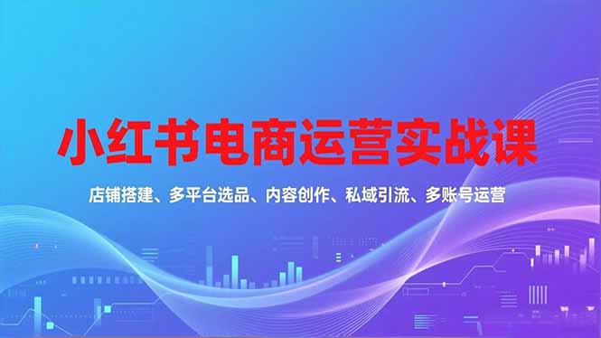 小红书电商运营实战课，店铺搭建、多平台选品、内容创作、私域引流、多账号运营等玩法-网赚项目平台