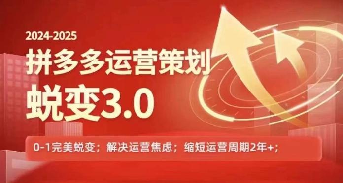 2024-2025拼多多运营策略蜕变3.0，0~1完美蜕变，解决信息焦虑-网赚项目平台