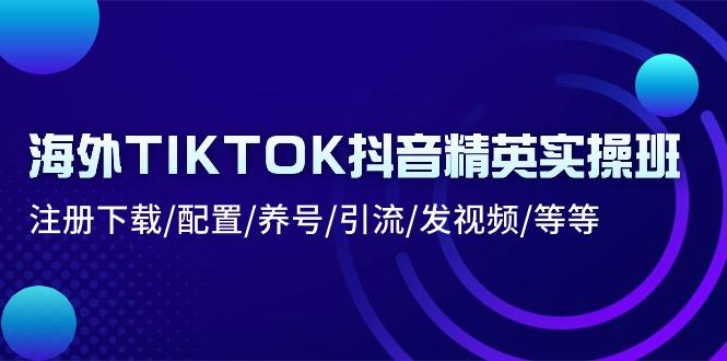 海外TIKTOK抖音精英实操班：注册下载/配置/养号/引流/发视频/等等-网赚项目平台