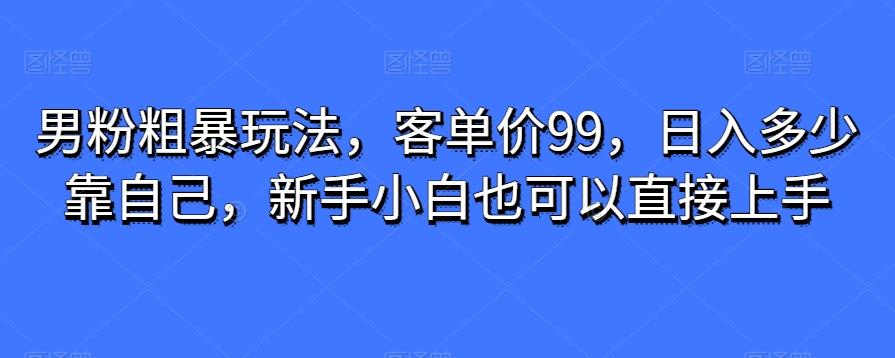 男粉粗暴玩法，客单价99，日入多少靠自己，新手小白也可以直接上手-网赚项目平台