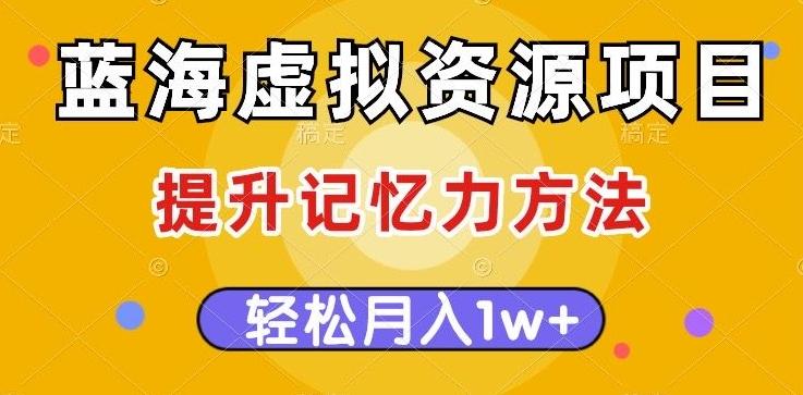 蓝海虚拟资源项目，提升记忆力方法，多种变现方式，轻松月入1w+【揭秘】-网赚项目平台