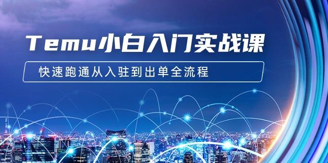 (9295期)Temu小白入门实战课：跨境拼多多电商培训 快速跑通从入驻到出单全流程-12节-网赚项目平台
