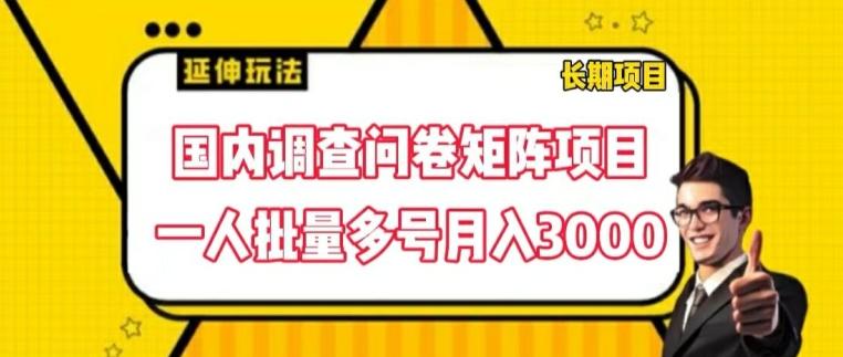 国内调查问卷矩阵项目，一人批量多号月入3000【揭秘】-网赚项目平台