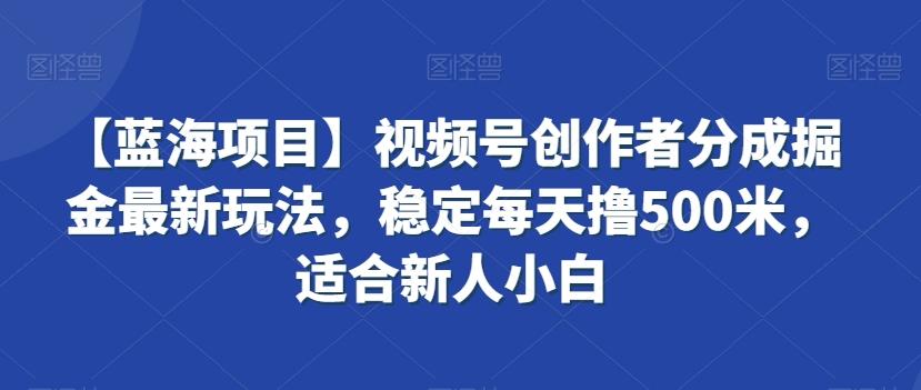 【蓝海项目】视频号创作者分成掘金最新玩法，稳定每天撸500米，适合新人小白【揭秘】-网赚项目平台