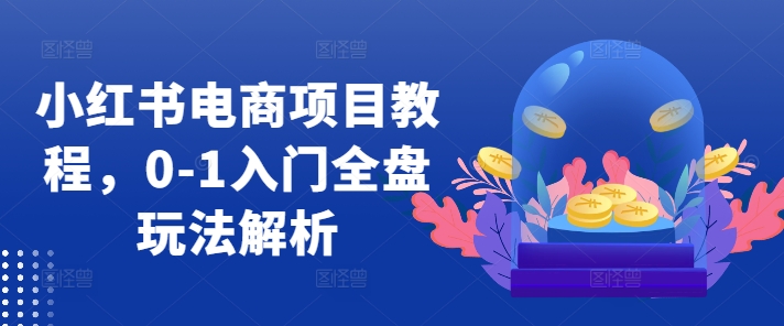 小红书电商项目教程，0-1入门全盘玩法解析-网赚项目平台