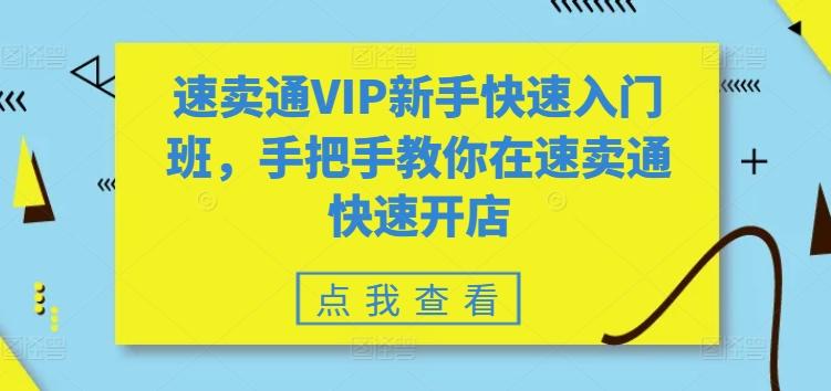 速卖通VIP新手快速入门班，手把手教你在速卖通快速开店-网赚项目平台