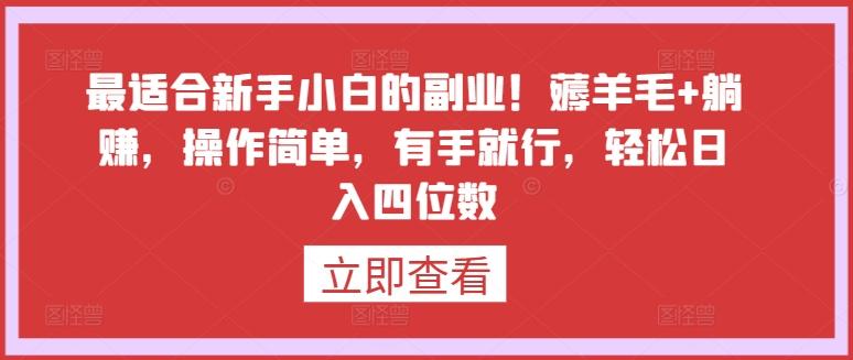 最适合新手小白的副业！薅羊毛+躺赚，操作简单，有手就行，轻松日入四位数【揭秘】-网赚项目平台