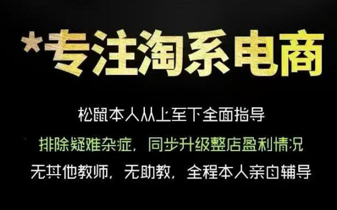 松鼠会电商VIP课程，从基础布局到高阶优化，助你掌握淘宝运营逻辑，提升店铺流量与转化(更新0711)-网赚项目平台