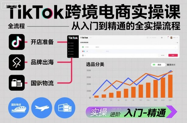 TikTok跨境电商实操课,从入门到精通的全实操流程-网赚项目平台