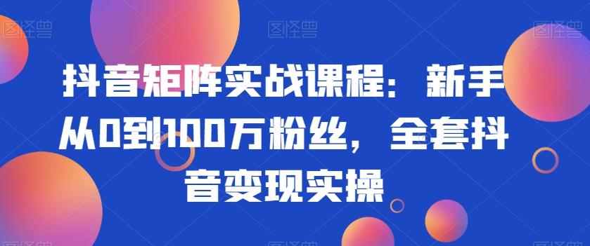 抖音矩阵实战课程：新手从0到100万粉丝，全套抖音变现实操-网赚项目平台