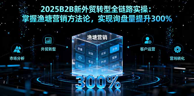 2025B2B新外贸转型全链路实操:掌握渔塘营销方法论,实现询盘量提升300%-网赚项目平台