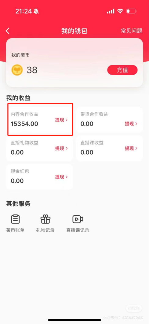 热门评论引爆小红书流量，作品制作简单，广告接到手软，月入过万不是梦-网赚项目平台