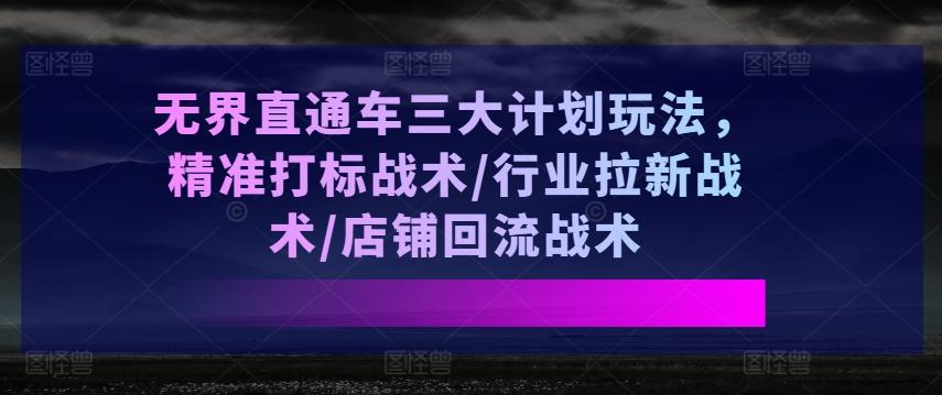 无界直通车三大计划玩法，精准打标战术/行业拉新战术/店铺回流战术-网赚项目平台