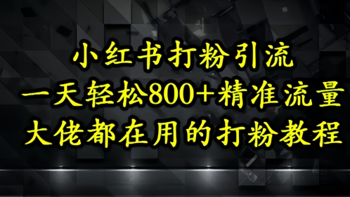 小红书打粉引流，一天轻松500+精准流量，大佬都在用的打粉教程-网赚项目平台