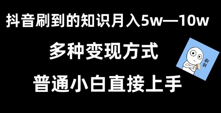 抖音刷到的知识，每天只需2小时，日入2000+，暴力变现，普通小白直接上手【揭秘】-网赚项目平台