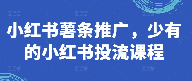小红书薯条推广，少有的小红书投流课程-网赚项目平台