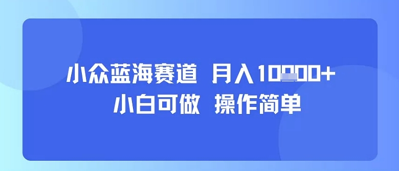 小众蓝海赛道，小白可做，操作简单，每天30分钟，月入1W+-网赚项目平台