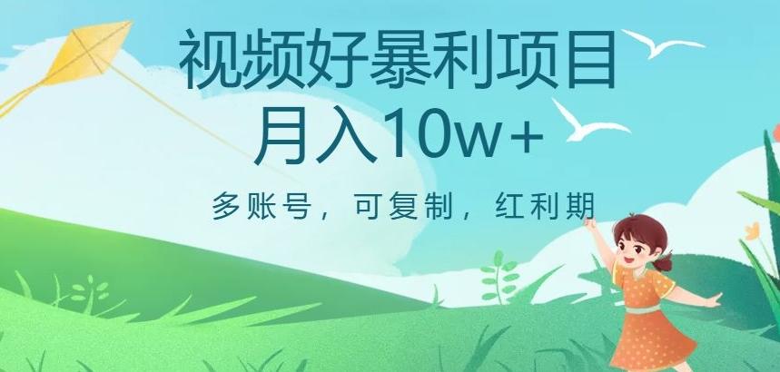 视频号暴利项目，多账号，可复制，红利期，月入10w+【揭秘】-网赚项目平台