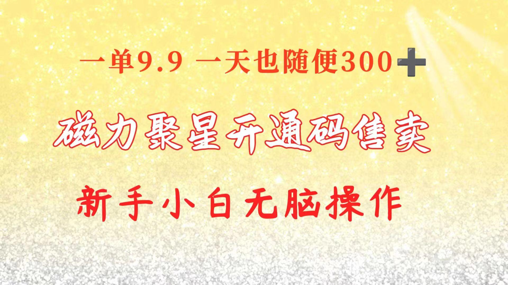 快手磁力聚星码信息差 售卖  一单卖9.9  一天也轻松300+ 新手小白无脑操作-网赚项目平台