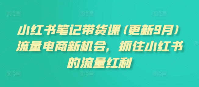 小红书笔记带货课(更新25年5月)流量电商新机会，抓住小红书的流量红利-网赚项目平台