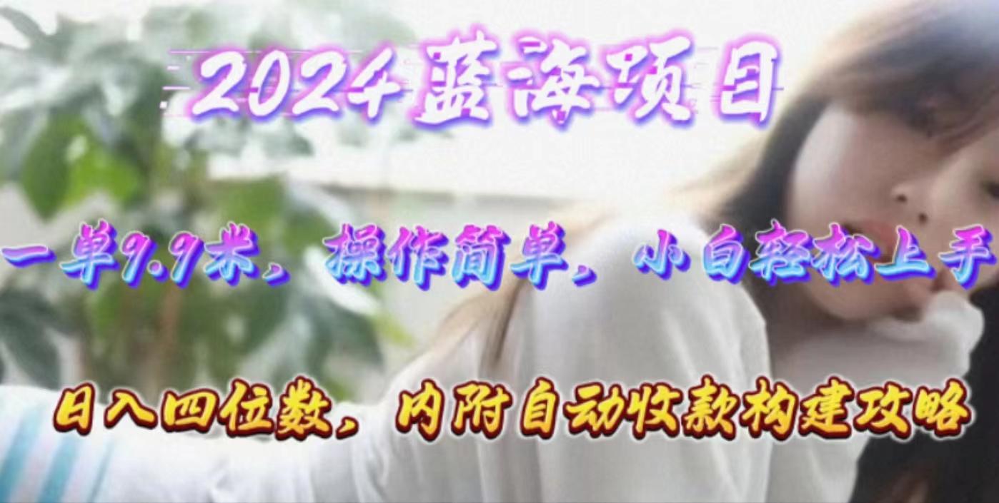 年轻群体的蓝海市场，1单9.9元，操作简单，小白轻松上手，日入四位数-网赚项目平台