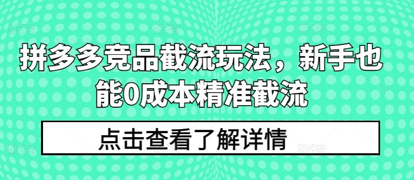 拼多多竞品截流玩法，新手也能0成本精准截流-网赚项目平台