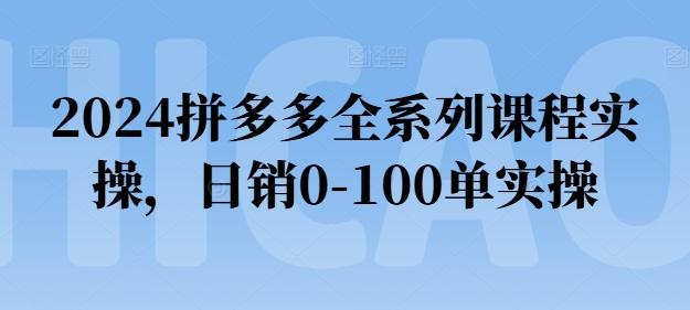 2024拼多多全系列课程实操，日销0-100单实操【必看】-网赚项目平台