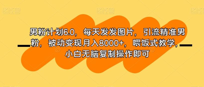 男粉计划6.0，每天发发图片，引流精准男粉，被动变现月入8000+，喂饭式教学，小白无脑复制操作即可-网赚项目平台