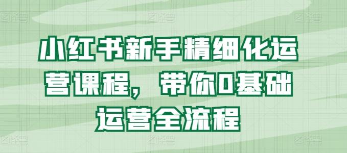 小红书新手精细化运营课程，带你0基础运营全流程-网赚项目平台