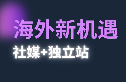 棕榈·2025出海新机遇(社媒+独立站)-网赚项目平台