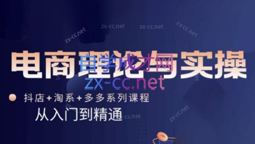 磊子·电商理论与实操(抖店+淘系+拼多多)-网赚项目平台