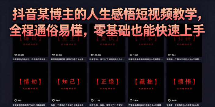 抖音某博主的灰太狼人生感悟短视频教学，全程通俗易懂，零基础也能快速上手-网赚项目平台