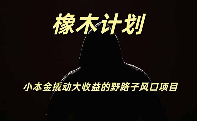 橡木计划，小投入撬动高回报的风口野路子项目，一天投入2小时左右-网赚项目平台