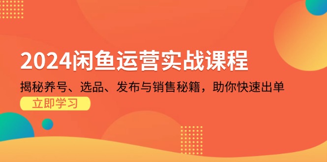2024闲鱼运营实战课程：揭秘养号、选品、发布与销售秘籍，助你快速出单-网赚项目平台