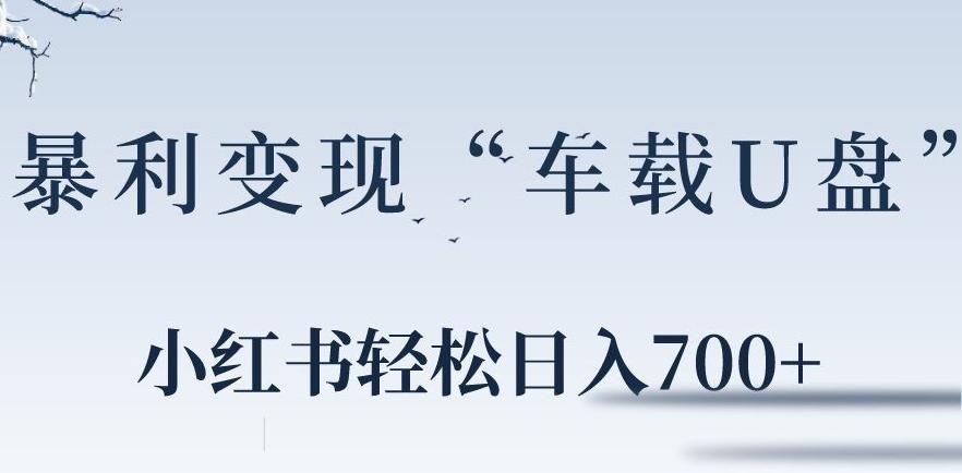 小红书“车载U盘”暴利引流，日入700+-网赚项目平台