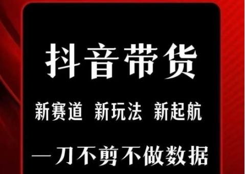 抖音短视频一刀不剪带货，不剪辑，不直播，每天发个视频，等着出单获取带货佣金-网赚项目平台