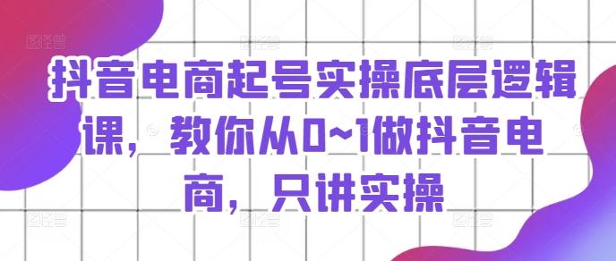 抖音电商起号实操底层逻辑课，教你从0~1做抖音电商，只讲实操-网赚项目平台