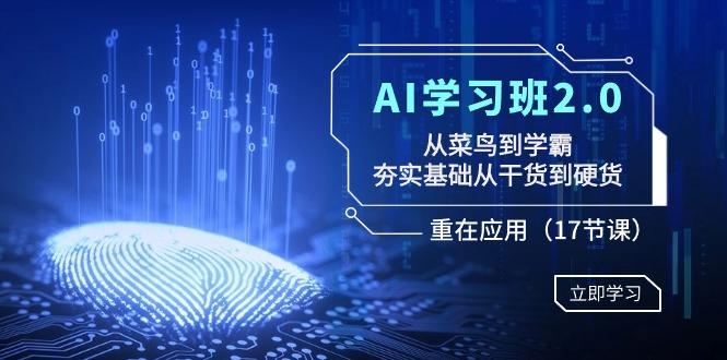 AI学习班2.0：从菜鸟到学霸，夯实基础从干货到硬货，重在应用(17节课)-网赚项目平台