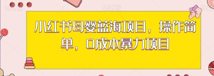 小红书母婴蓝海项目，操作简单，0成本暴力项目-网赚项目平台