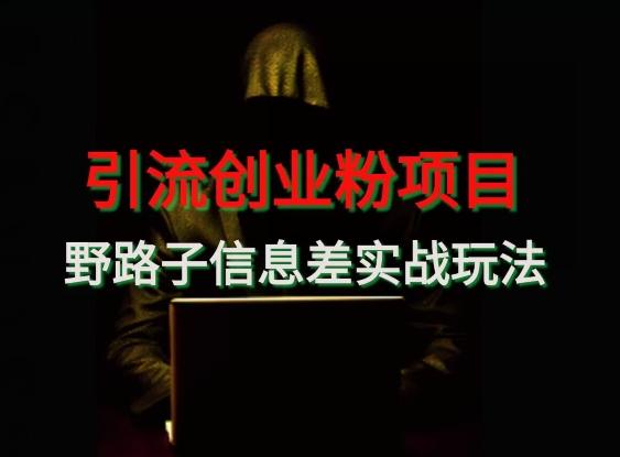 【引流创业粉】野路子信息差玩法实战教学-网赚项目平台