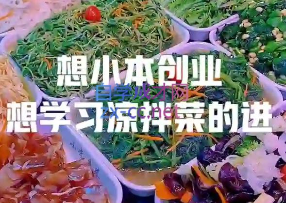 李记·精品凉拌菜系列热卤系列教程-网赚项目平台