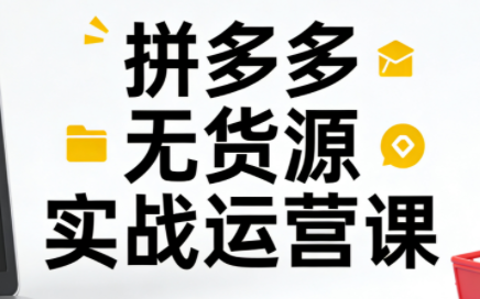子枫老师·拼多多无货源实战运营课(更新12月)-网赚项目平台