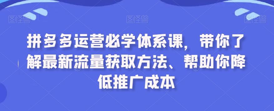 拼多多运营必学体系课，带你了解最新流量获取方法、帮助你降低推广成本-网赚项目平台