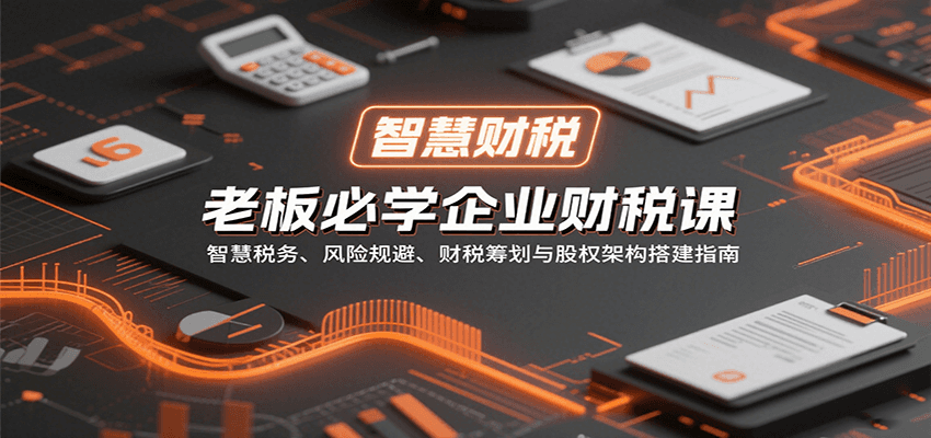 老板必学企业财税课：智慧税务、风险规避、财税筹划与股权架构搭建指南-网赚项目平台