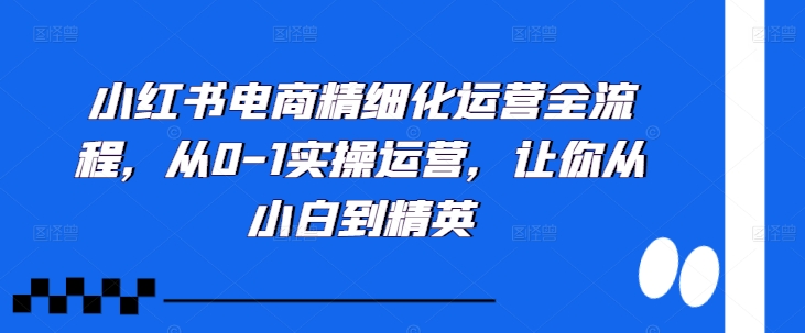 小红书电商精细化运营全流程，从0-1实操运营，让你从小白到精英-网赚项目平台