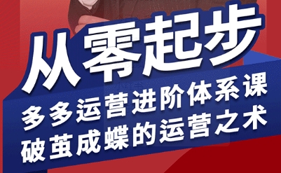 拼多多运营进阶系统课，从零起步，多多运营进阶体系课，破茧成蝶的运营之术-网赚项目平台