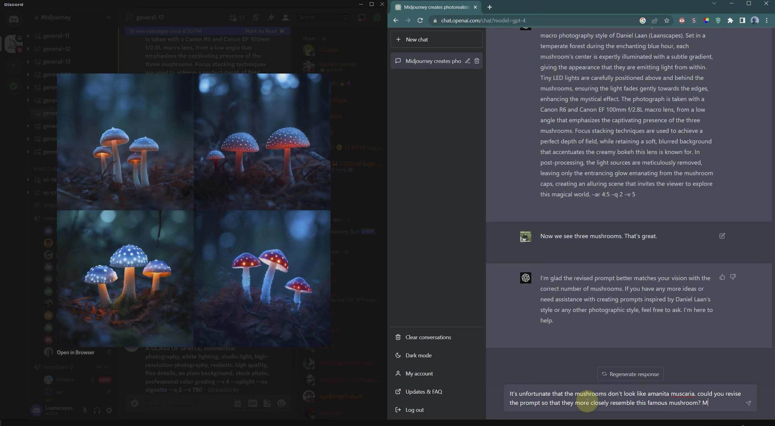 图片[4]-(8717期)摄影师 Daniel Laan 使用ChatGPT与Midjourney生成风光图像-中英字幕-网赚项目平台