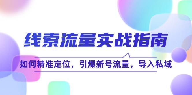 线 索 流 量-实战指南：如何精准定位，引爆新号流量，导入私域-网赚项目平台