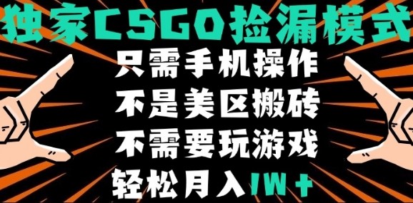 CSGO自动捡漏项目，最新独家玩法，不是美区搬砖，不需要了解和玩游戏，新手小白轻松月入1W+【揭秘】-网赚项目平台
